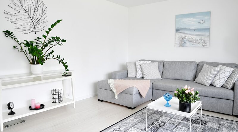 Jasny, skandynawski salon z szarą sofą i roślinami doniczkowymi